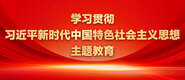 E浮美女被人弄倒到喷水学习贯彻习近平新时代中国特色社会主义思想主题教育_fororder_ad-371X160(2)